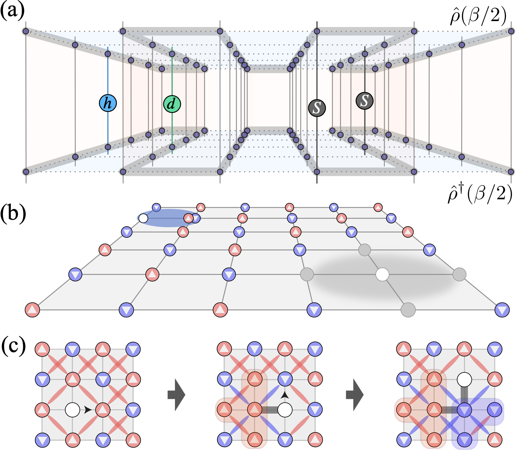 Quantum ManyBody Simulations of the TwoDimensional FermiHubbard