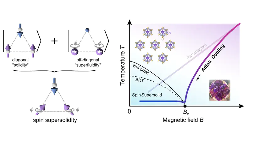 Giant magnetocaloric effect in spin supersolid candidate Na$_2$BaCo(PO$_4$)$_2$