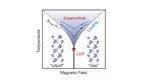 Ising Supercriticality and Universal Magnetocalorics in Spiral Antiferromagnet Nd3⁢BWO9