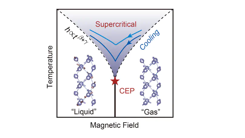 Ising Supercriticality and Universal Magnetocalorics in Spiral Antiferromagnet Nd3⁢BWO9