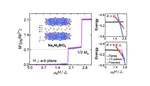 A one-third magnetization plateau phase as evidence for the Kitaev interaction in a honeycomb-lattice antiferromagnet