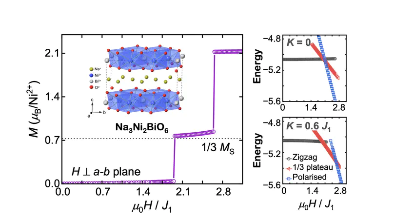 A one-third magnetization plateau phase as evidence for the Kitaev interaction in a honeycomb-lattice antiferromagnet